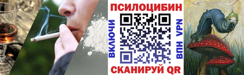 Галлюциногенные грибы Psilocybine cubensis  Володарск 