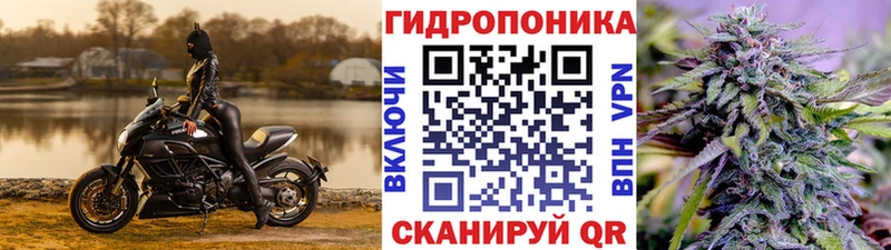 Канабис сатива  Володарск 